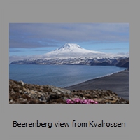 Beerenberg view from Kvalrossen